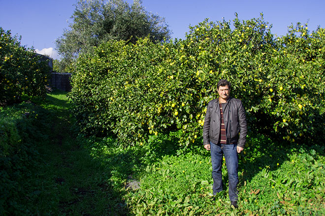 Etna's Terra dei limoni Azienda Agricola Patanè