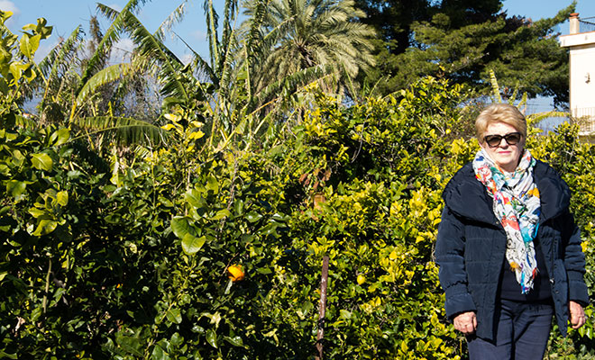 Etna's Terra dei limoni Azienda Agricola Patanè