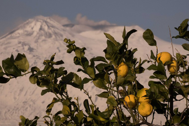 Azienda Agricola Terra nel mezzo