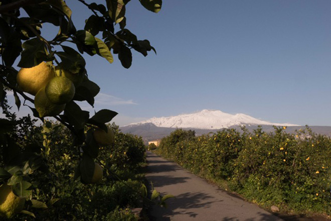 Azienda Agricola Terra nel mezzo